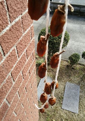 あっという間の干し柿作り♪-レシピのメイン写真