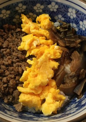肉そぼろ丼 椎茸の甘辛煮添 お弁当でも！-レシピのメイン写真