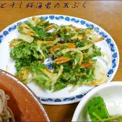 รูปของ さくさく✦春菊と干桜海老のかき揚げ