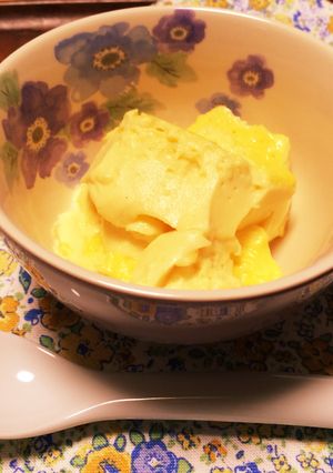 糖質なし 卵と豆乳のやさしプリン-レシピのメイン写真