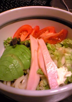 さっぱり☆冷やしうどん-レシピのメイン写真