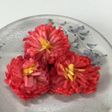 菊花ラディッシュ