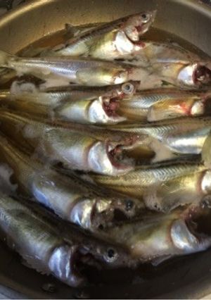 ハタハタと野菜の煮物-レシピのメイン写真