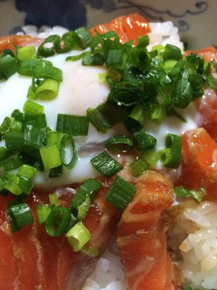 サーモンと温泉卵の丼-レシピのメイン写真