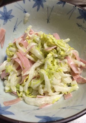 白菜の消費に！簡単♪白菜サラダ-レシピのメイン写真