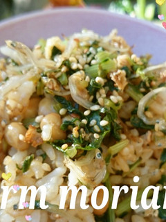 カルシウムup✨大根葉とジャコの納豆炒飯-レシピのメイン写真