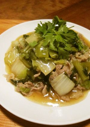 こんにゃく麺で豚と高菜のあんかけ麺-レシピのメイン写真
