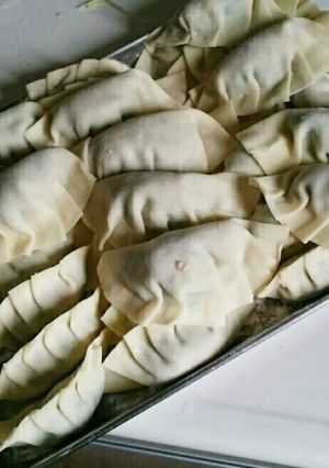 手作り餃子-レシピのメイン写真