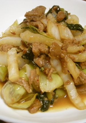 大豆のお肉と白菜の炒め物-レシピのメイン写真