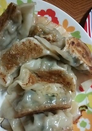 普通の餃子♪-レシピのメイン写真