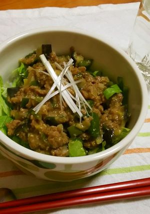 野菜たっぷり肉味噌丼-レシピのメイン写真