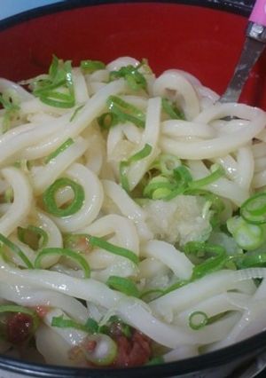 ねぎおろし梅うどん-レシピのメイン写真