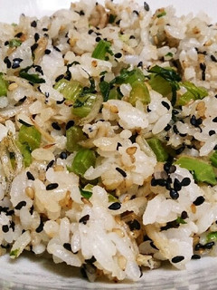 カルシウムたっぷり♪ゴマゴマ炒飯♪-レシピのメイン写真