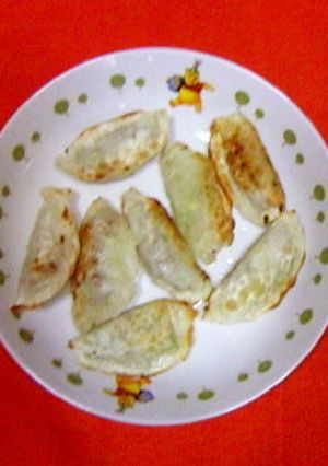 野菜だけで作る餃子-レシピのメイン写真