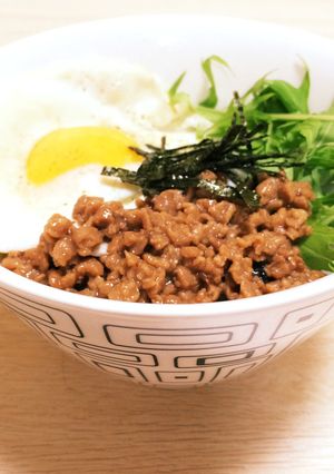 〔大豆のお肉で〕カンタンひき肉丼☆-レシピのメイン写真