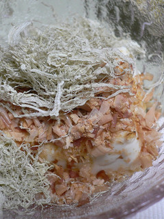 豆腐のおかかとろろ昆布のせ-レシピのメイン写真