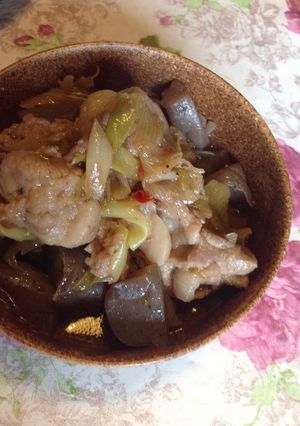 煮るだけ簡単、豚肉とコンニャクの煮込み♪-レシピのメイン写真