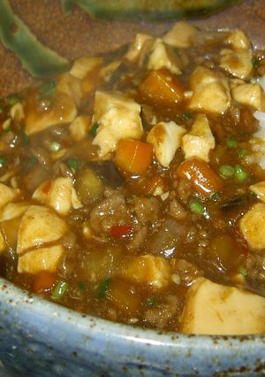 野菜たっぷり麻婆丼-レシピのメイン写真
