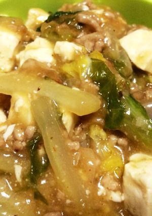 白菜入り麻婆豆腐丼☆-レシピのメイン写真