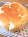 パネトーネマザーで炊飯器パン♪