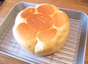 パネトーネマザーで炊飯器パン♪-レシピのメイン写真