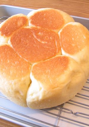 パネトーネマザーで炊飯器パン♪-レシピのメイン写真