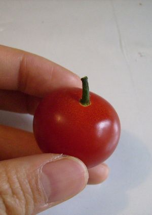 プチトマトのミニりんご-レシピのメイン写真