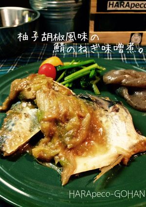 柚子胡椒風味の鯖のねぎ味噌煮。-レシピのメイン写真