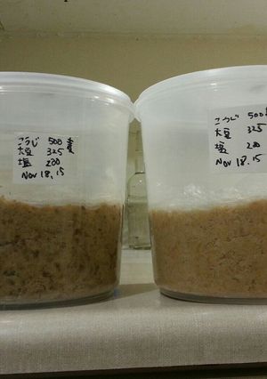 ミキサー、圧力鍋でお手軽手作り味噌-レシピのメイン写真