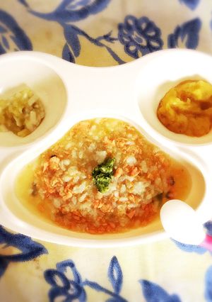 離乳食中期：鮭粥、うどん＆なす、他-レシピのメイン写真