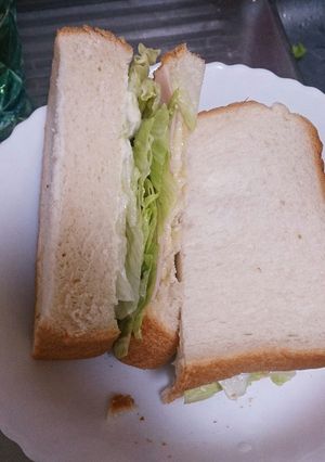 ハーフホットサンド-レシピのメイン写真
