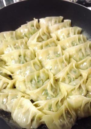 餃子パーティー-レシピのメイン写真