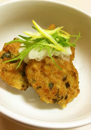 根菜だけで美味しい和風つくねバーグ-レシピのメイン写真