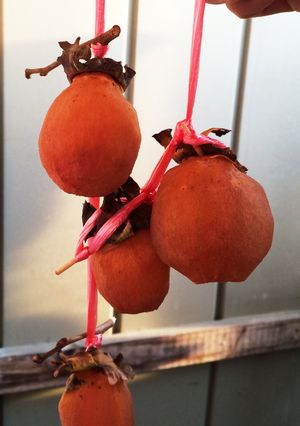 干し柿2015-レシピのメイン写真