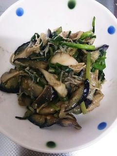 なすとキノコの味噌炒め-レシピのメイン写真