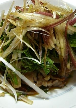 豚肉のうまうま香味野菜のせ-レシピのメイン写真