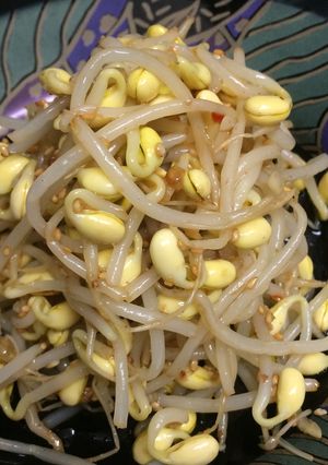大豆もやしのナムル-レシピのメイン写真