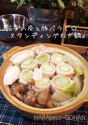 餃子の皮と豚バラで☆スタンディング葱鍋。-レシピのメイン写真