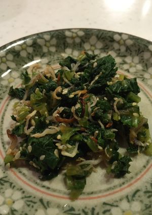大根葉とジャコの炒り煮-レシピのメイン写真