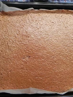 ホケミで簡単★チョコスポンジケーキ-レシピのメイン写真