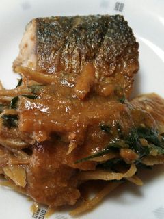 さばとごぼうのごま味噌煮♪-レシピのメイン写真
