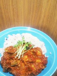 大豆のお肉でキーマカレー-レシピのメイン写真
