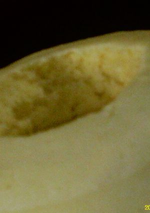 チーズ蒸しパン＠ホットケーキミックス-レシピのメイン写真
