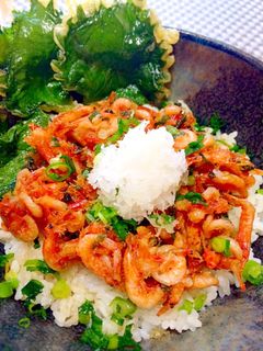 サクサク桜えびかき揚げ 丼-レシピのメイン写真