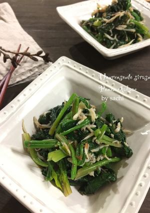 ほうれん草としらすのポン酢おかか和え-レシピのメイン写真
