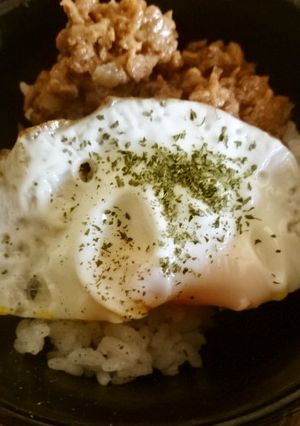 大豆のお肉でガパオライス-レシピのメイン写真