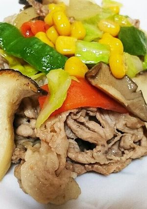創味シャンタンだけで肉野菜炒め☆-レシピのメイン写真