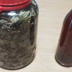 รูปของ 健康に☆美味しいドクダミ酒