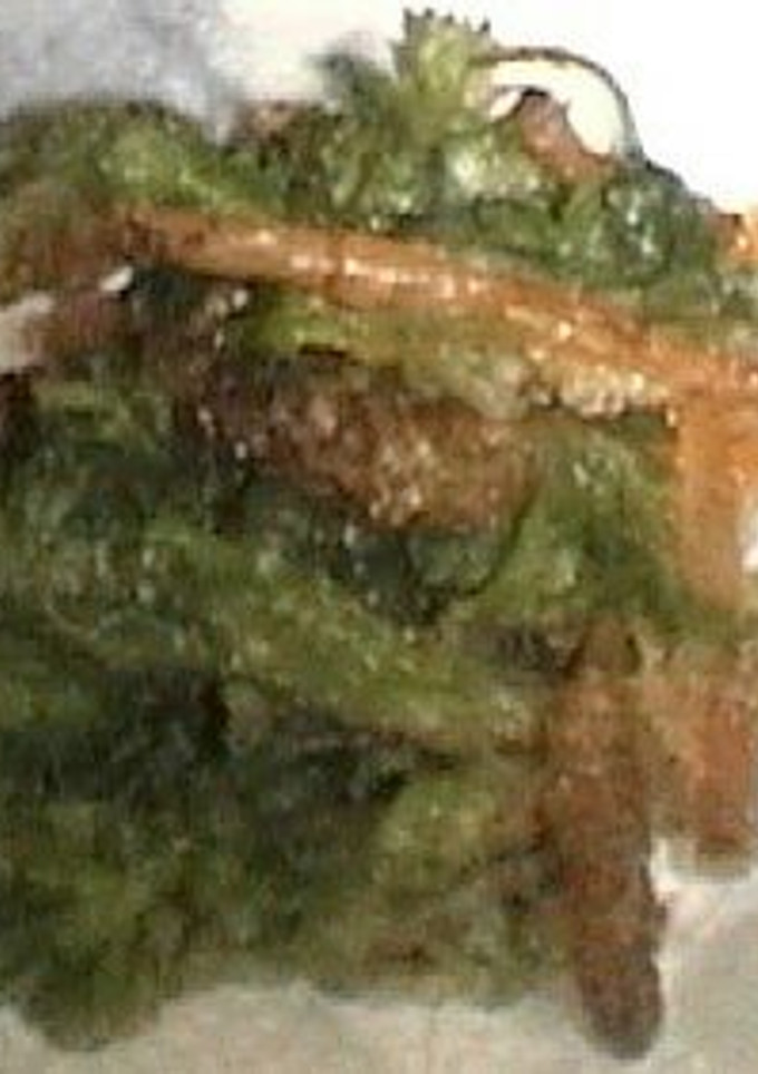 土筆＆よもぎのかき揚げ-レシピのメイン写真