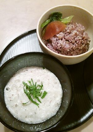 とろろ芋介ご飯-レシピのメイン写真